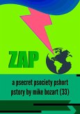 Zap (eBook, ePUB)