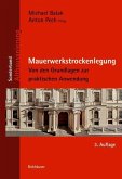 Mauerwerkstrockenlegung (eBook, PDF)