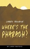 Larry Bourne (eBook, ePUB)