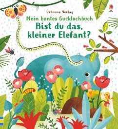 Mein buntes Gucklochbuch: Bist du das, kleiner Elefant? - Taplin, Sam