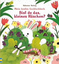 Mein buntes Gucklochbuch: Bist du das, kleines Häschen? - Taplin, Sam