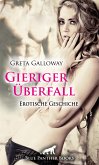 Gieriger Überfall   Erotische Geschichte (eBook, ePUB)