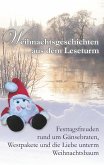 Weihnachtsgeschichten aus dem Leseturm