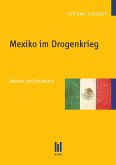 Mexiko im Drogenkrieg (eBook, PDF)