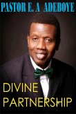 Divine Partnership (eBook, ePUB)