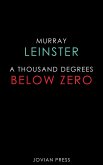 A Thousand Degrees Below Zero (eBook, ePUB)
