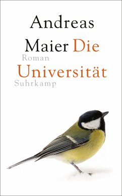 Die Universität (eBook, ePUB) - Maier, Andreas