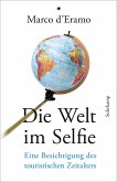 Die Welt im Selfie (eBook, ePUB)