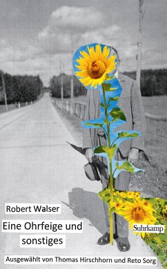 Eine Ohrfeige und sonstiges (eBook, ePUB) - Walser, Robert