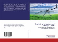 Analysis of Irrigation and Nitrogen Levels