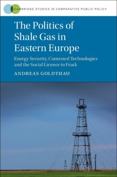The Politics of Shale Gas in Eastern Europe - Goldthau, Andreas (Royal Holloway, University of London)
