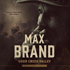 Cover Sour Creek Valley: A Western Story