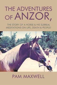 The Adventures of Anzor - Pam Maxwell