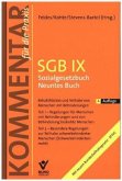SGB IX - Sozialgesetzbuch Neuntes Buch
