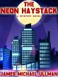 The Neon Haystack (eBook, ePUB) - Bild 1