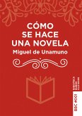 Cómo se hace una novela (eBook, ePUB)