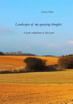 Landscapes of my querying thoughts (eBook, ePUB)