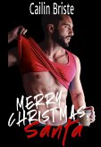 Merry Christmas, Santa (eBook, ePUB)