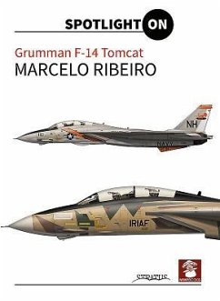 Grumman F-14 Tomcat - Ribeiro, Marcelo