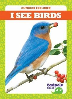 I See Birds - Mayerling, Tim
