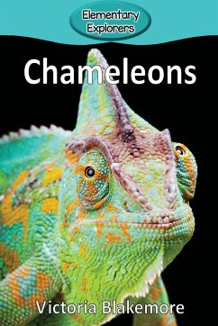 Chameleons - Blakemore, Victoria