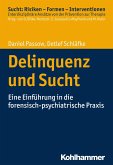 Delinquenz und Sucht (eBook, ePUB)