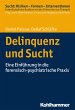 Delinquenz und Sucht (eBook, PDF) - Bild 1