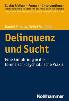 Delinquenz und Sucht (eBook, PDF) - Passow, Daniel; Schläfke, Detlef
