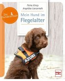 Mein Hund im Flegelalter