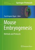 Mouse Embryogenesis