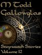 Stopwatch Stories vol 12 (eBook, ePUB) - Bild 1