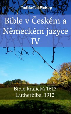 Bible v Českém a Německém jazyce IV (eBook, ePUB) - Ministry, TruthBeTold