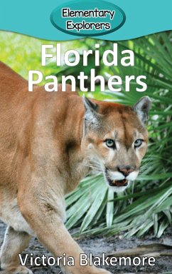 Florida Panthers - Blakemore, Victoria