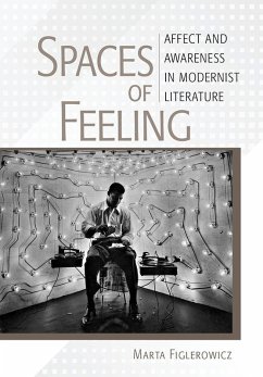 Spaces of Feeling (eBook, ePUB)