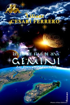 Gemini (eBook, ePUB) - Ferrero, Liliane Cesari