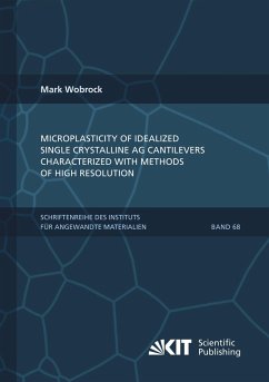 Microplasticity of idealized single crystalline Ag cantilevers characterized with methods of high resolution