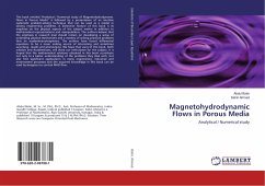 Magnetohydrodynamic Flows in Porous Media