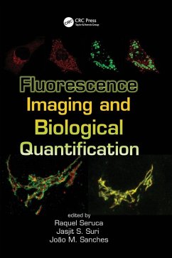 Cover Fluorescence Imaging and Biological Quantification