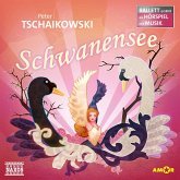 Tschaikowski-Schwanensee