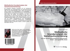 Methodische Grundprinzipien der Sozialraumorientierung - Ebner-Hopf, Stefanie