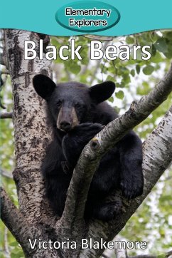 Black Bears - Blakemore, Victoria