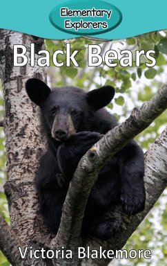 Black Bears - Blakemore, Victoria