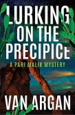 Lurking On The Precipice (A Pari Malik Mystery, #2) (eBook, ePUB)