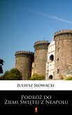 Podróż do Ziemi Świętej z Neapolu (eBook, ePUB)