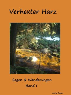 Verhexter Harz (eBook, ePUB) - Bayer, Antje
