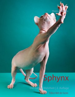 Sphynx (eBook, ePUB)