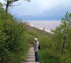 Cover To the Lake and Selected Poems (eBook, ePUB)