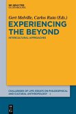 Experiencing the Beyond (eBook, PDF)