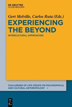 Cover Experiencing the Beyond (eBook, PDF)