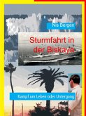 Sturmfahrt in der Biskaya (eBook, ePUB)